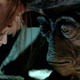 Illustration for article titled iFarscape/i: “Die Me, Dichotomy”
